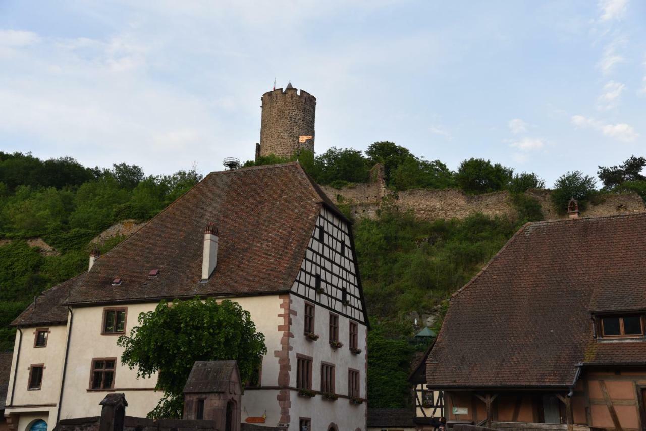 Le Brin D'Osier Daire Kaysersberg-Vignoble Dış mekan fotoğraf
